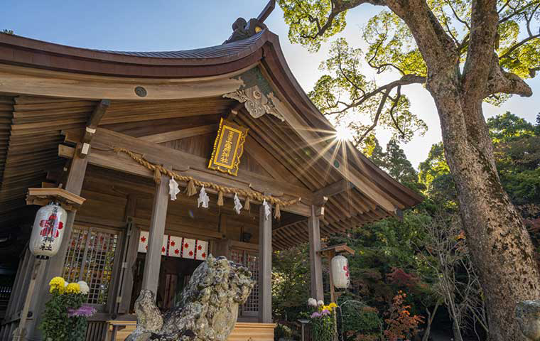 宝満宮 竈門神社