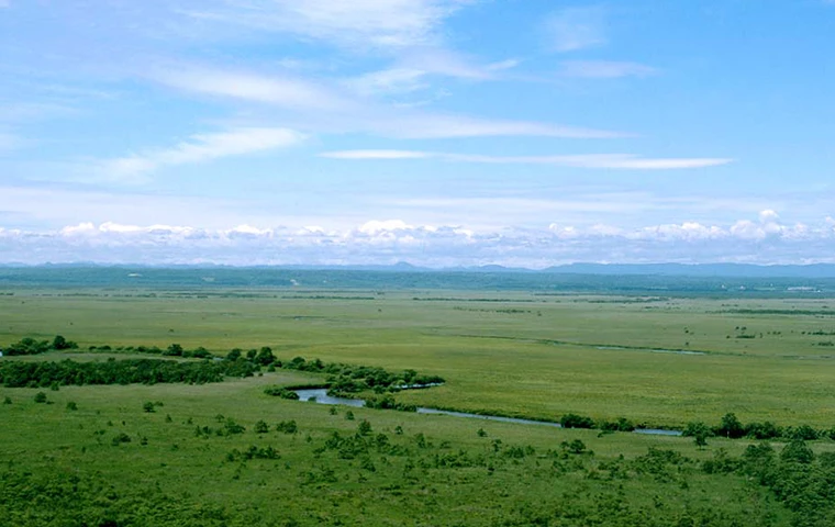 釧路湿原