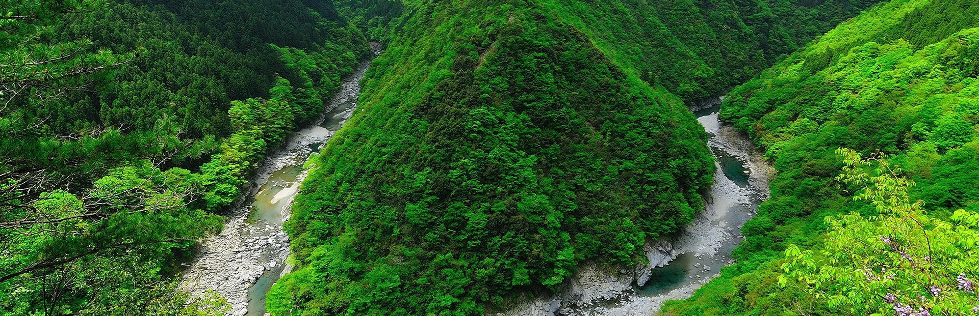 祖谷渓谷